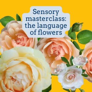 Read more about the article Masterclass: The language of flowers